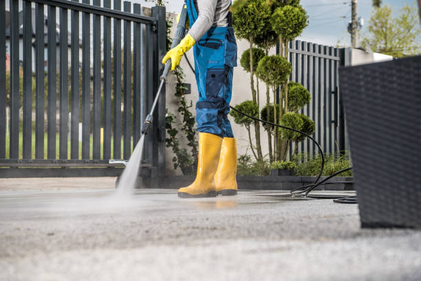 Best Fence Cleaning  in Blackhawk, SD