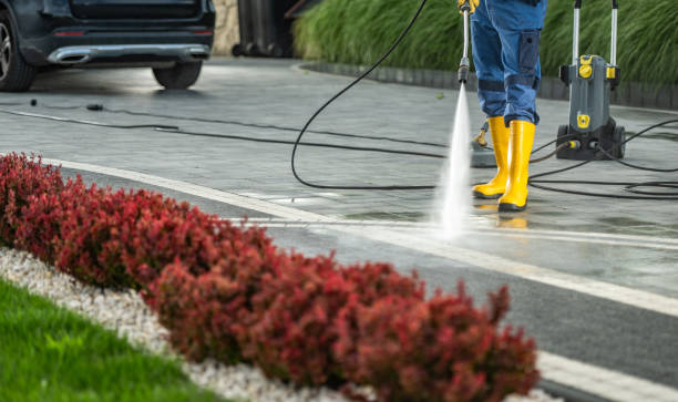 Best House Exterior Washing  in Blackhawk, SD